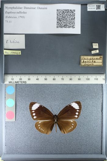 Media type: image;   Entomology 160149